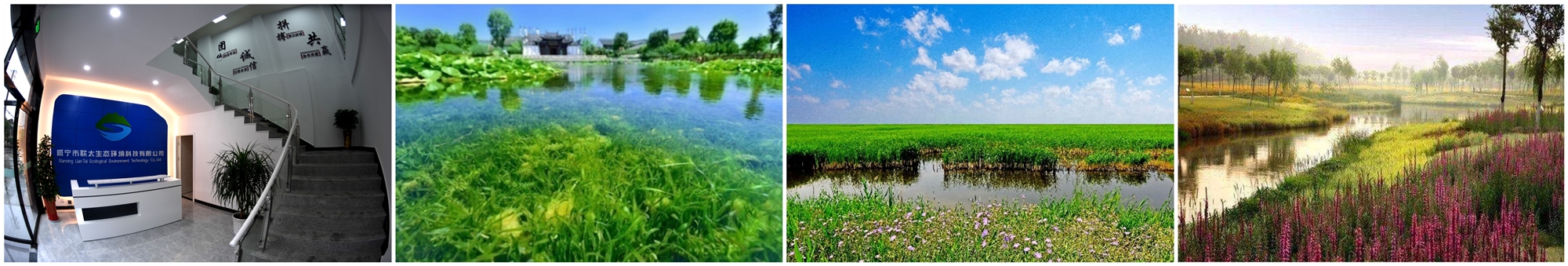 ��ҳ- ���������й��ٷ���վ