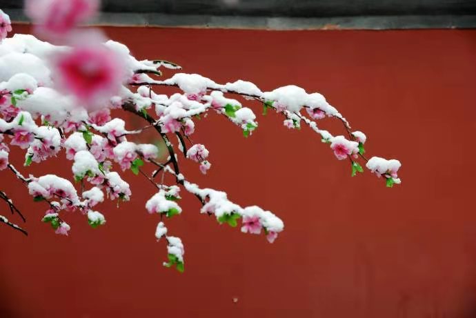 ��ҳ- ���������й��ٷ���վ