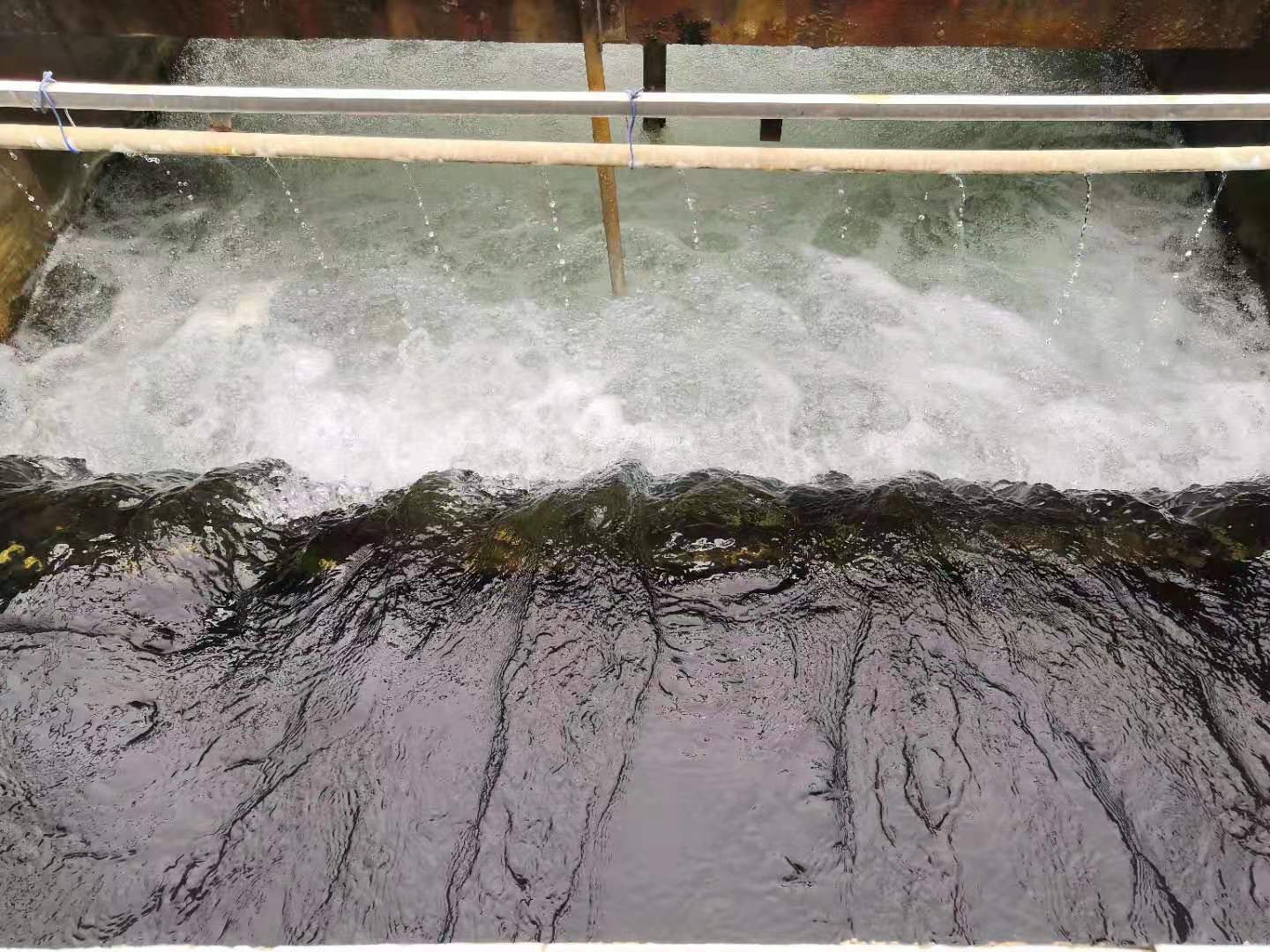 ��ҳ- ���������й��ٷ���վ