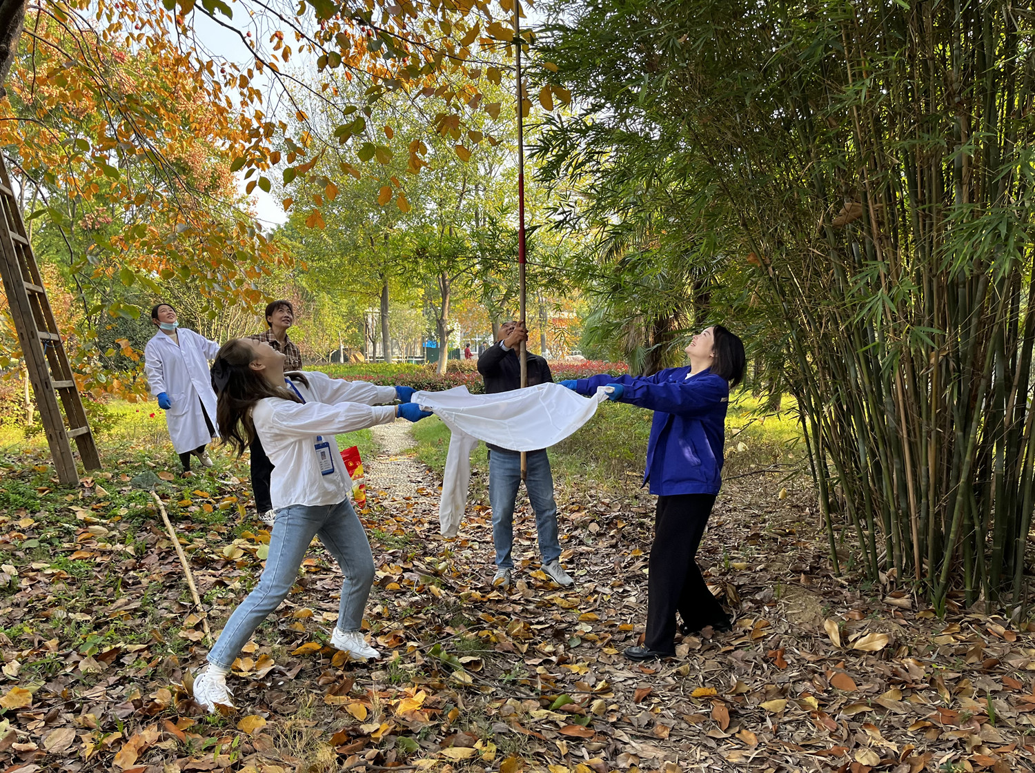 ��ҳ- ���������й��ٷ���վ