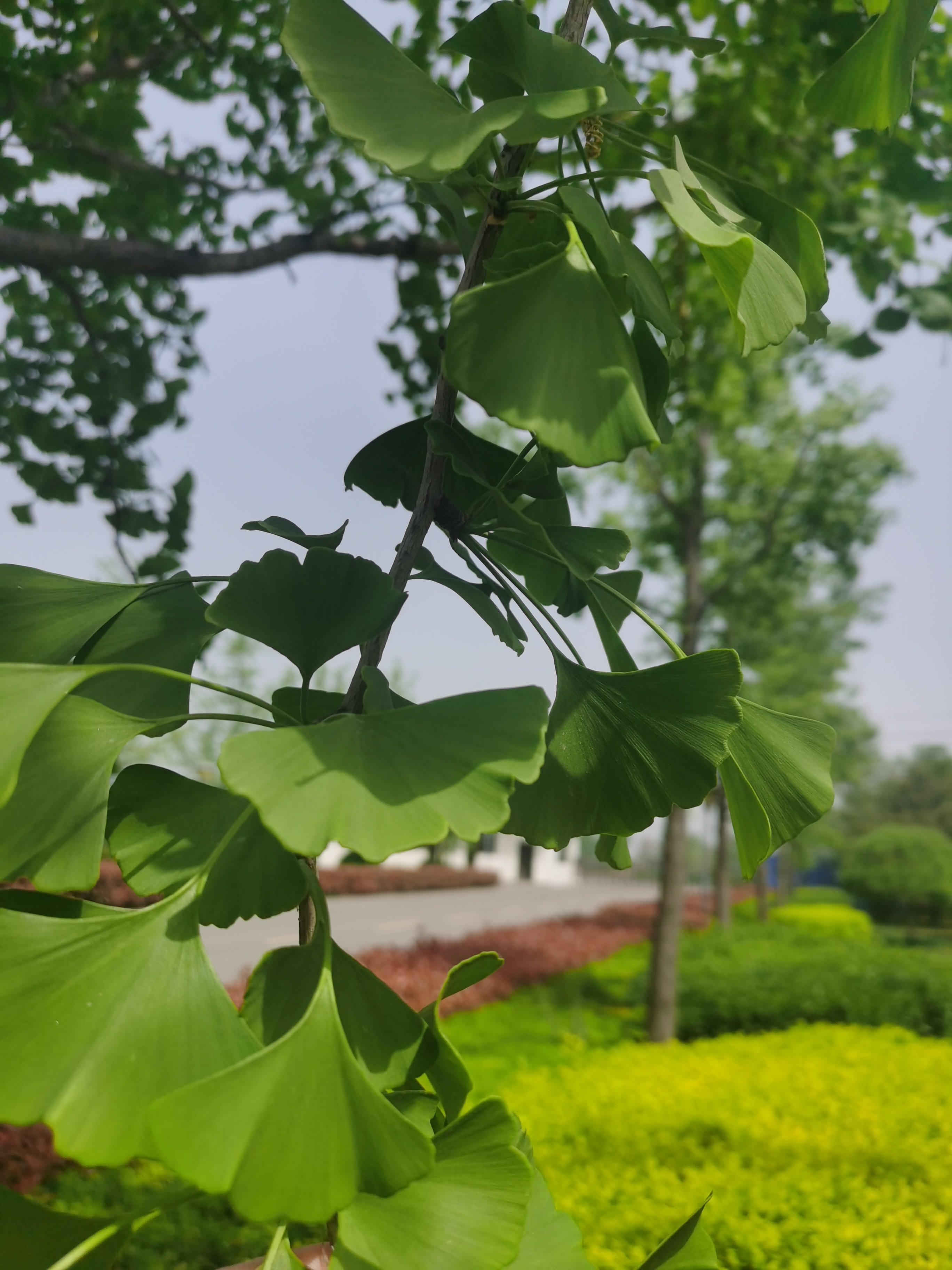 ��ҳ- ���������й��ٷ���վ