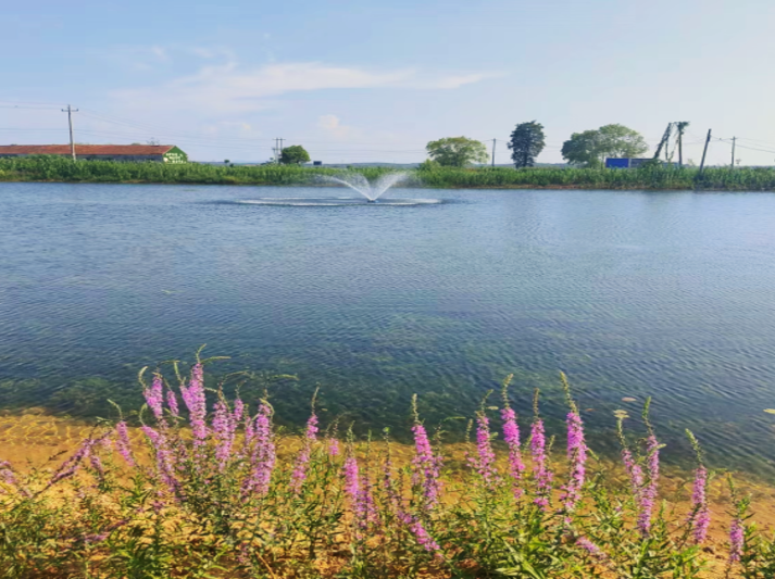 ��ҳ- ���������й��ٷ���վ