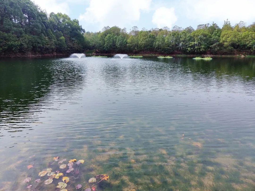 ��ҳ- ���������й��ٷ���վ