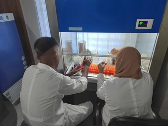 ��ҳ- ���������й��ٷ���վ