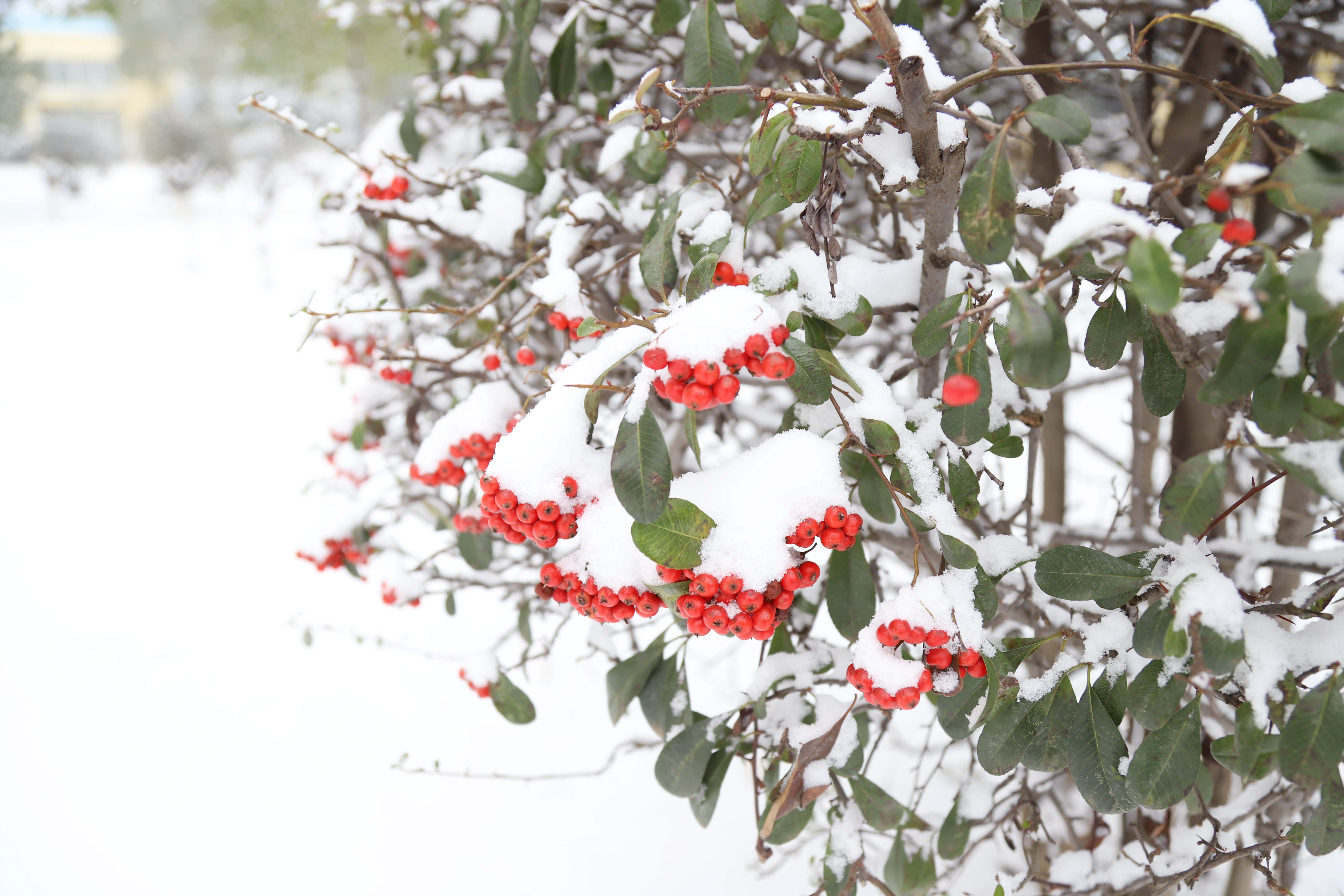 ��ҳ- ���������й��ٷ���վ