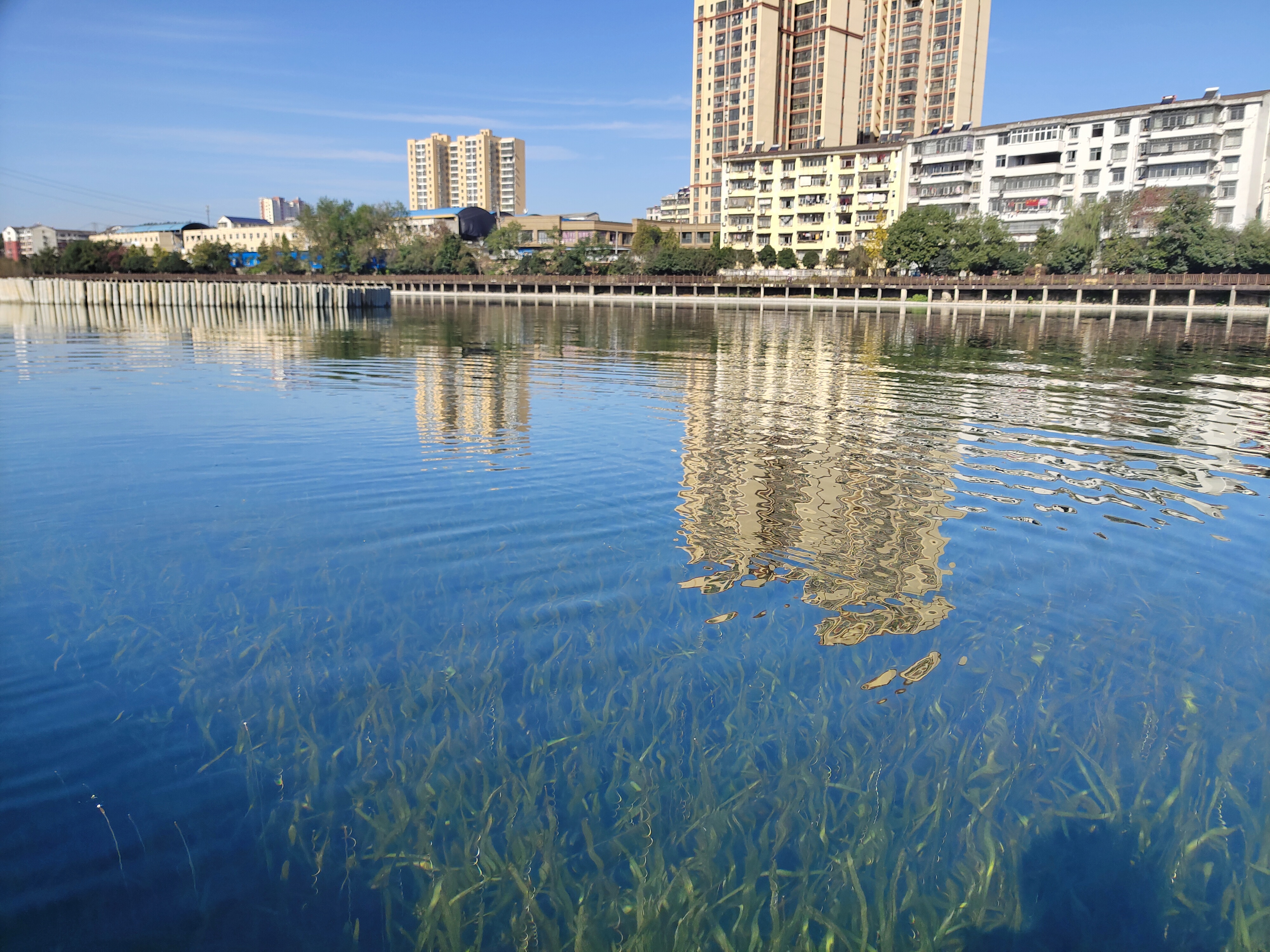 ��ҳ- ���������й��ٷ���վ