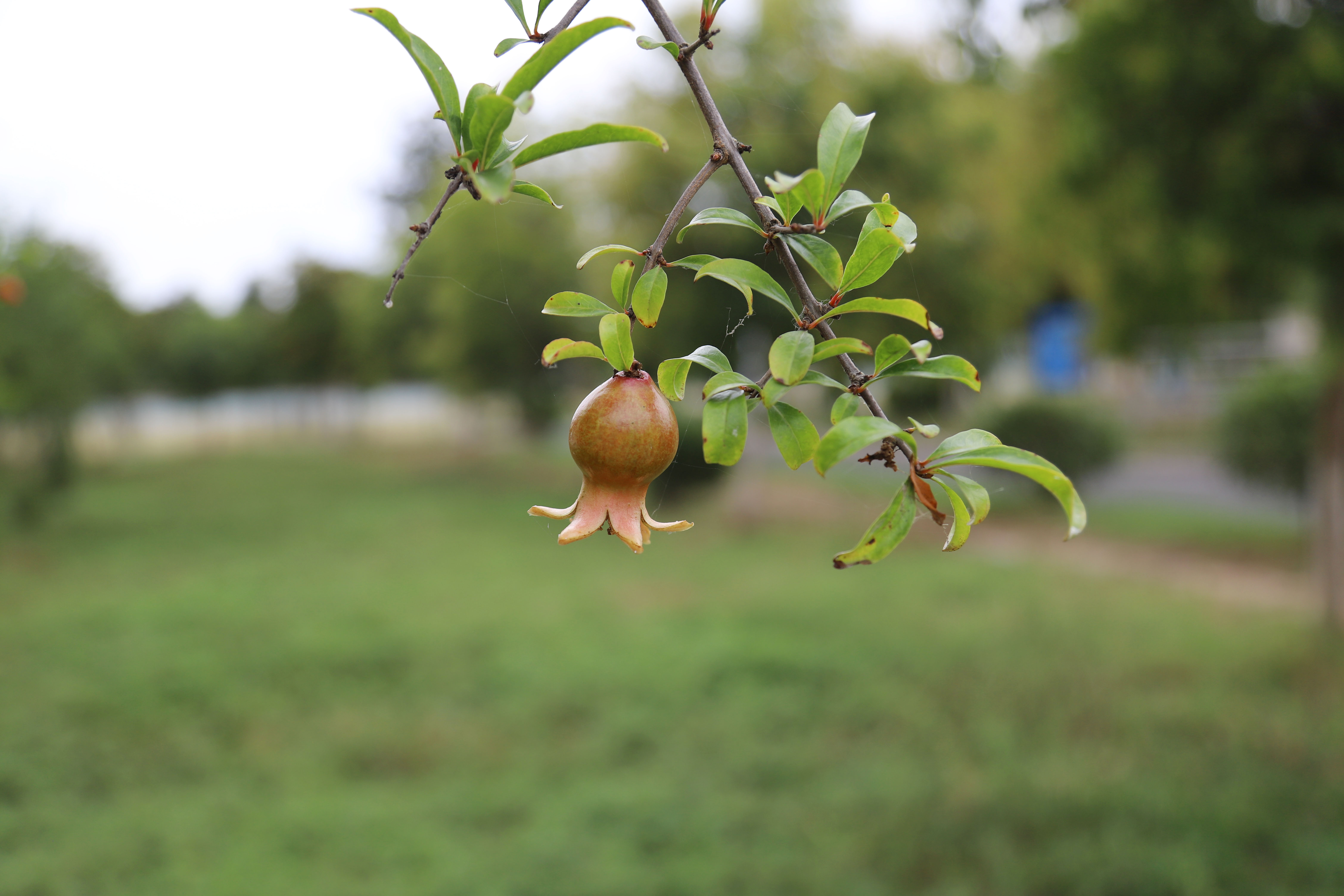 ��ҳ- ���������й��ٷ���վ