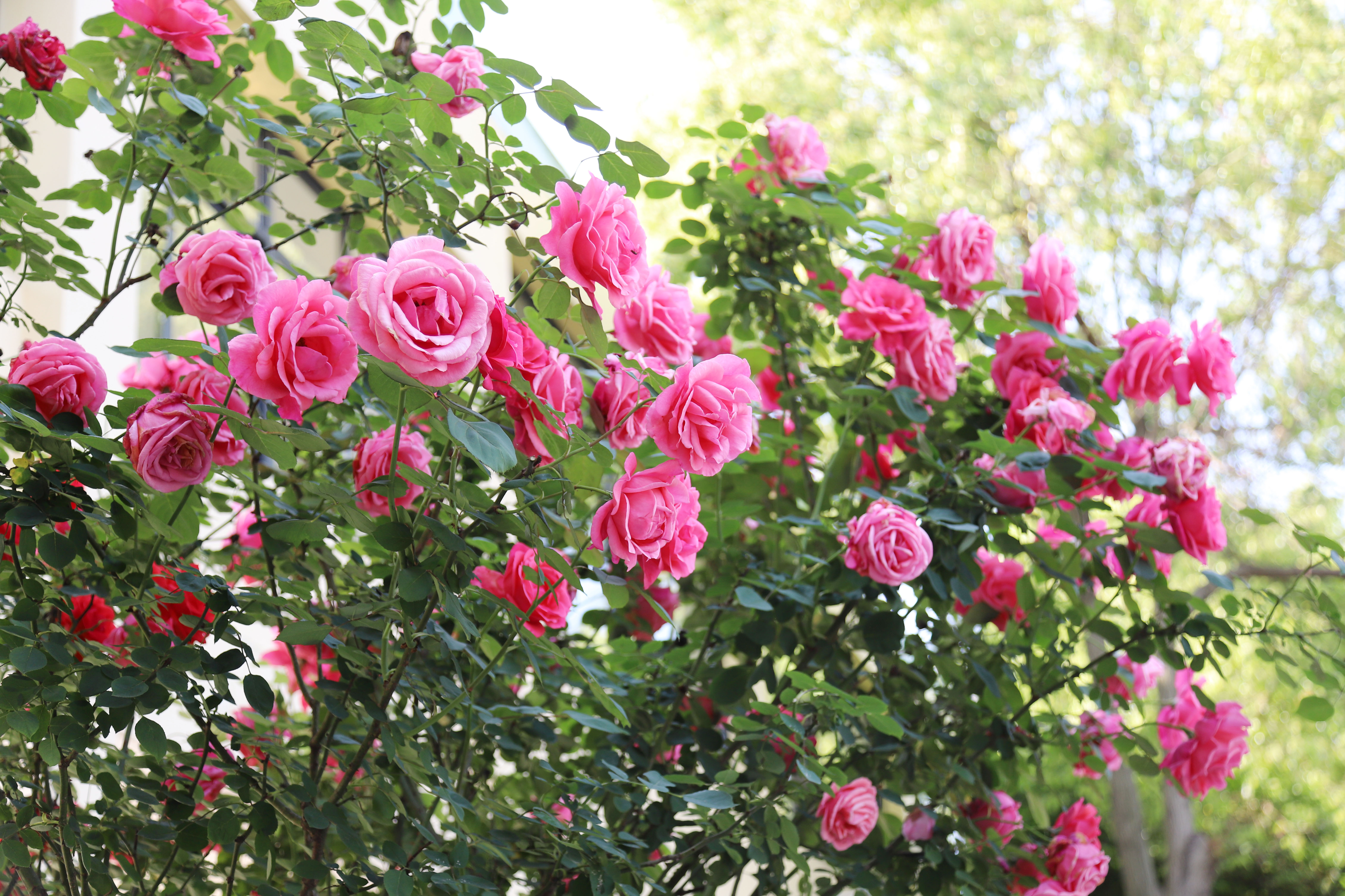 ��ҳ- ���������й��ٷ���վ