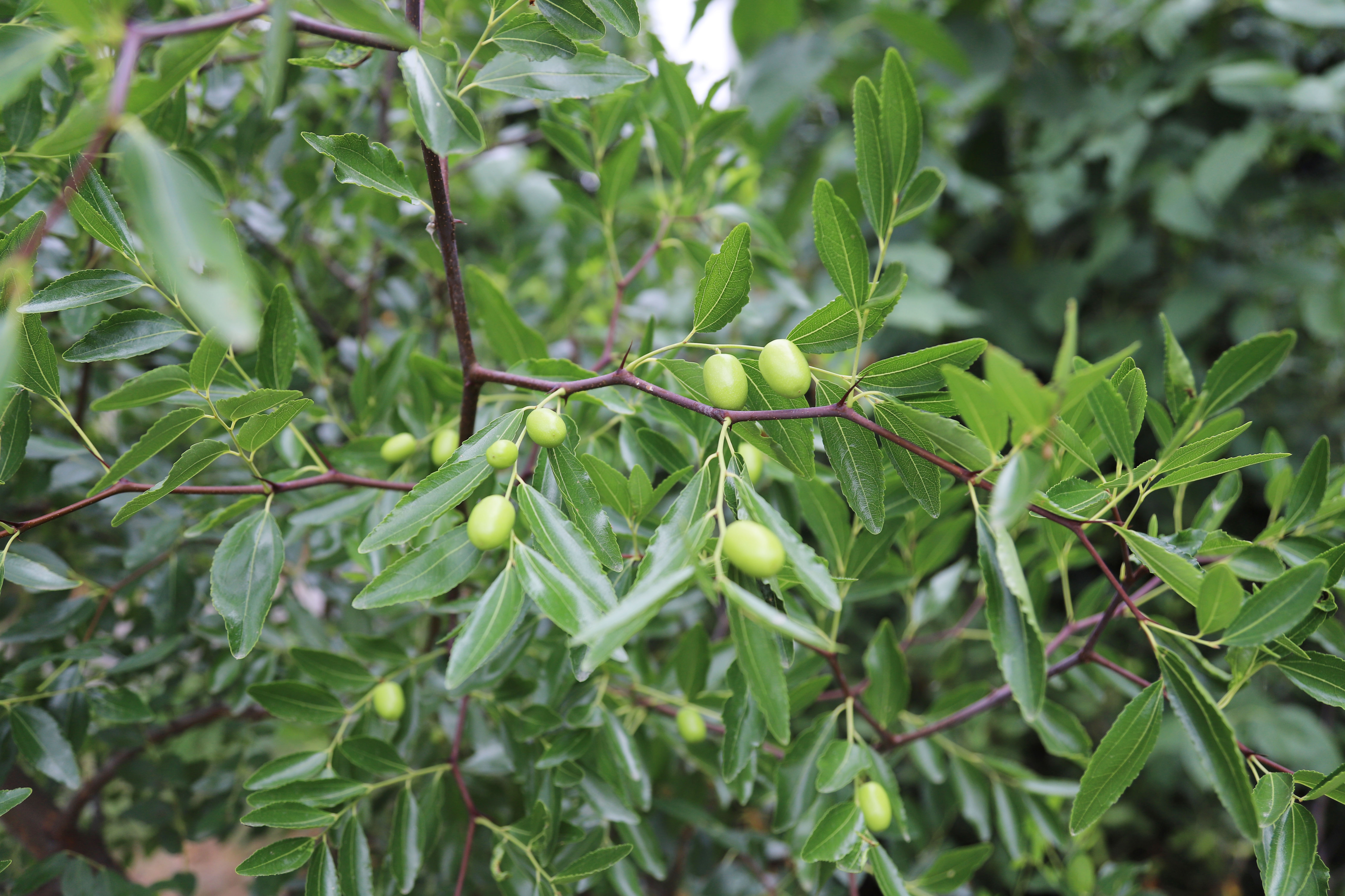 ��ҳ- ���������й��ٷ���վ