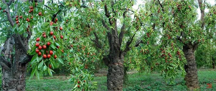 ��ҳ- ���������й��ٷ���վ