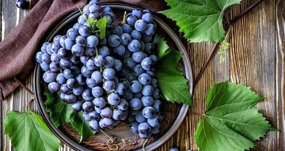 ��ҳ- ���������й��ٷ���վ